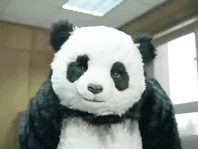 Angry Panda Staring GIF