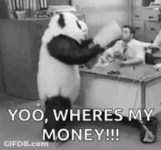 Angry Panda Yoo Where's My Money GIF