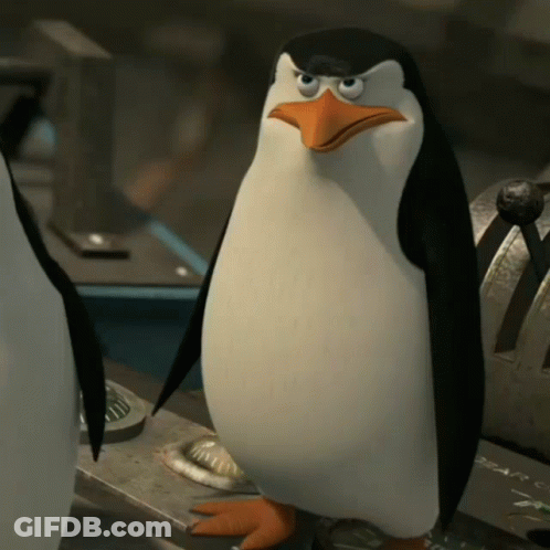 Angry Penguin Standing Next To Another Penguin GIF