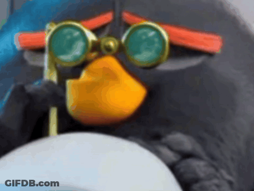 Angry Penguin With Goggles GIF