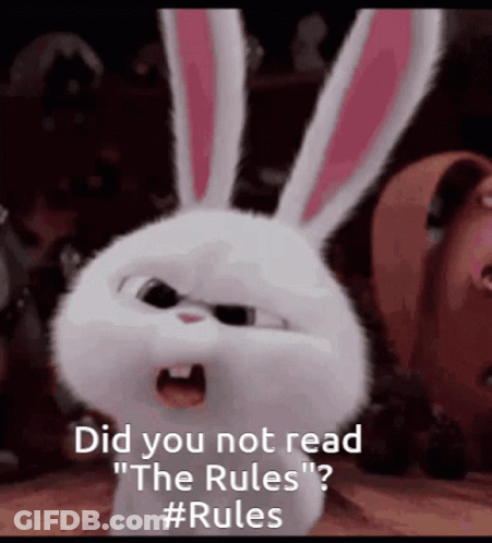 Angry Rabbit From Secret Life Of Pets Says Did You Not Read The Rules GIF