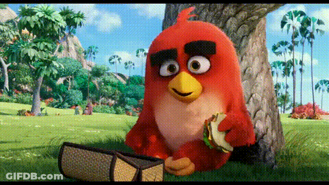 Angry Red Bird Sitting Under Tree With Tambourine GIF