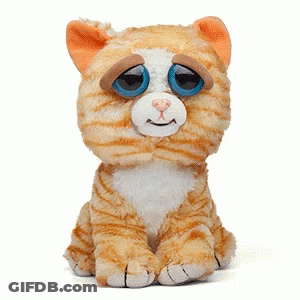 Angry Stuffed Cat GIF