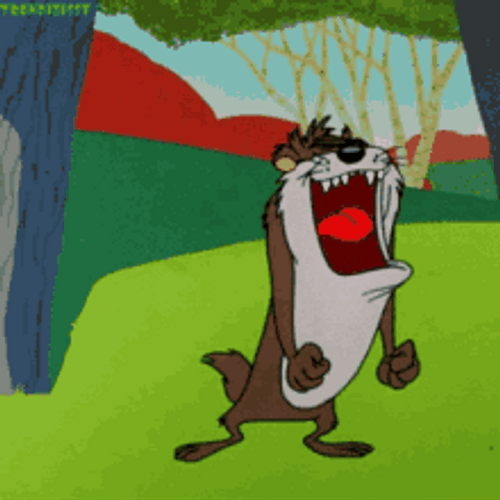 Angry Tasmanian Devil GIF