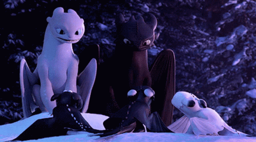 Angry Toothless And Light Fury GIF