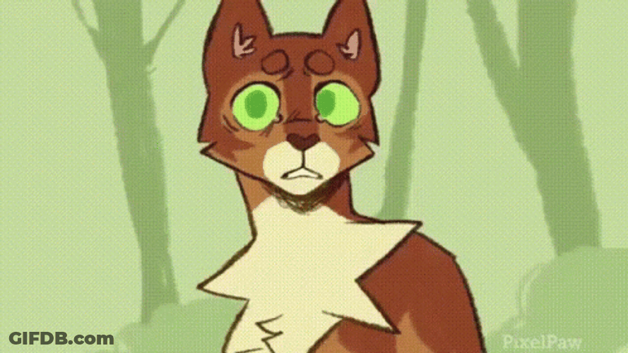 Angry Warrior Cats Moment GIF