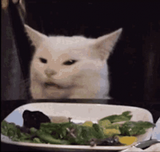 Angry White Cat On Dinner Table GIF