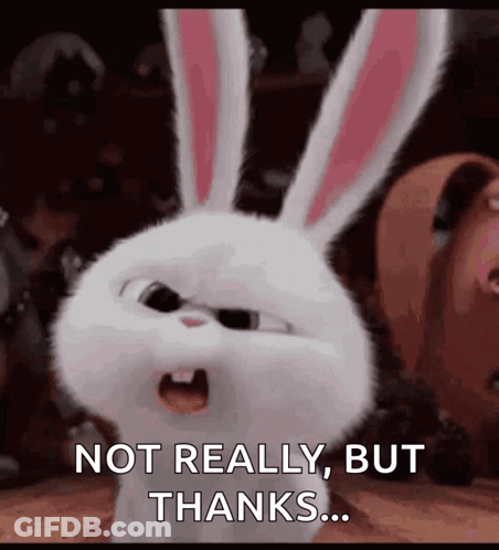 Angry White Rabbit Secret Life Of Pets Not Really But Thanks GIF