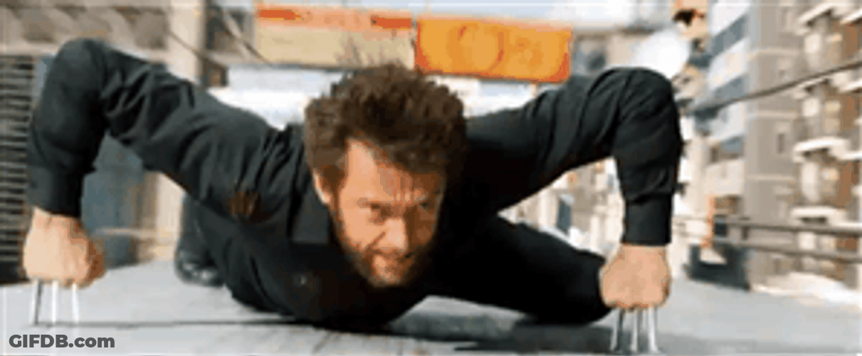 Angry Wolverine In Train GIF