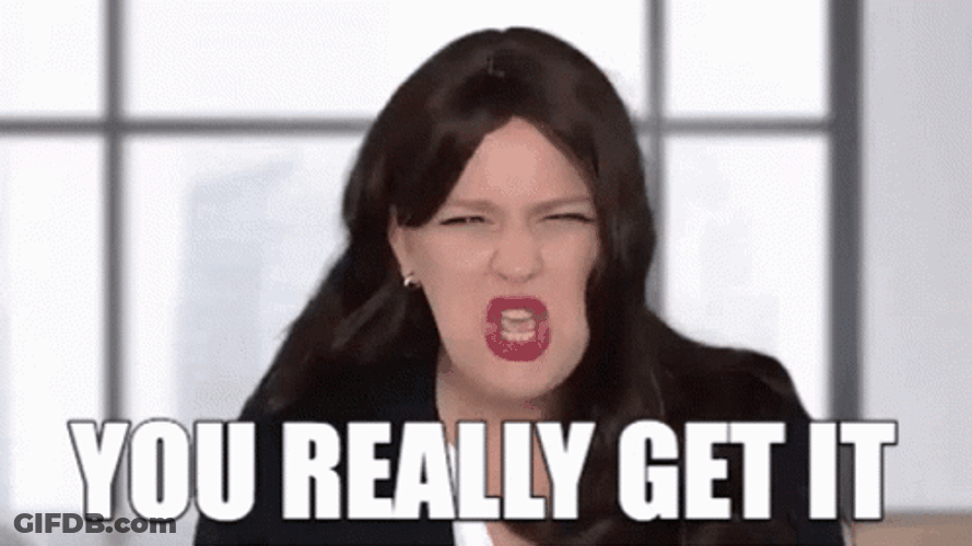 Angry You Really Get It GIF