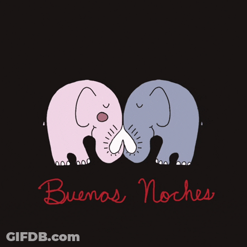 Animados Buenas Noches GIF