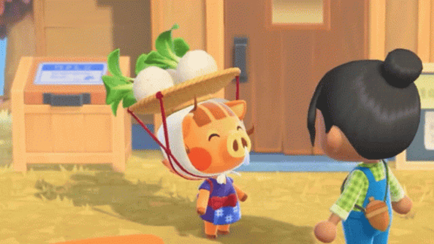 Animal Crossing Daisy Mae Question GIF