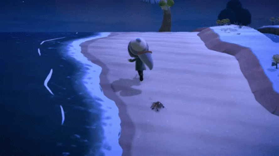 Animal Crossing Spider Beach Chase GIF
