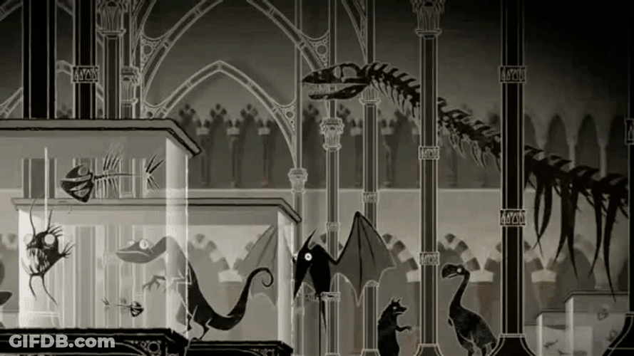 Animal Displaying In Museum GIF