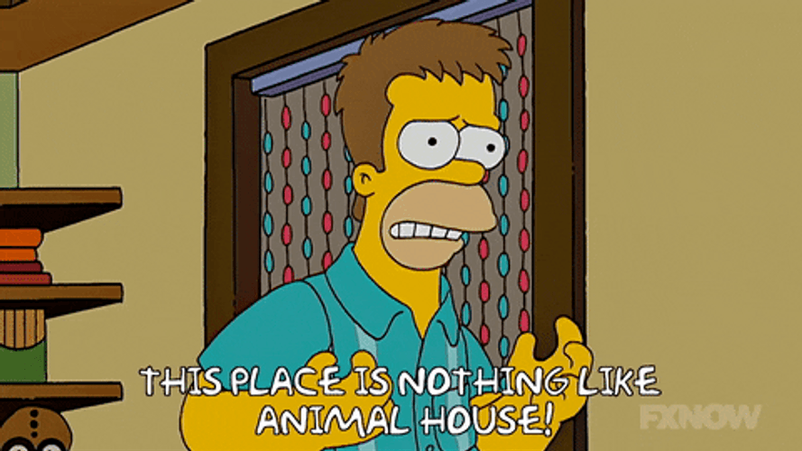 Animal House The Simpson GIF