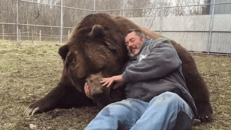 Animal Hug Sweet Human Bear GIF