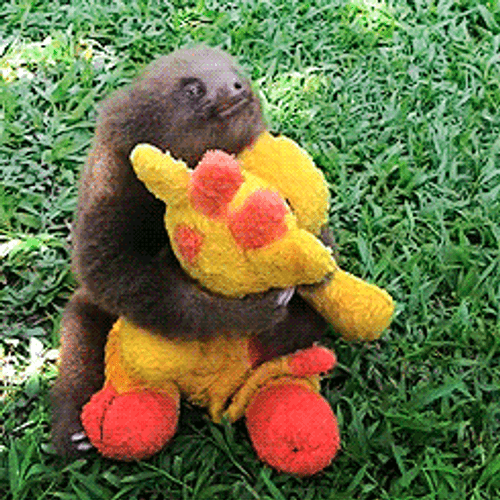 Animal Hugs Stuff Toy GIF