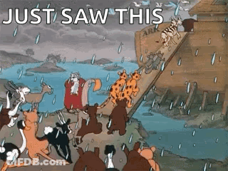 Animals Ark Rain Saying Just Saw This GIF