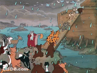 Animals Before Ark In Rain GIF