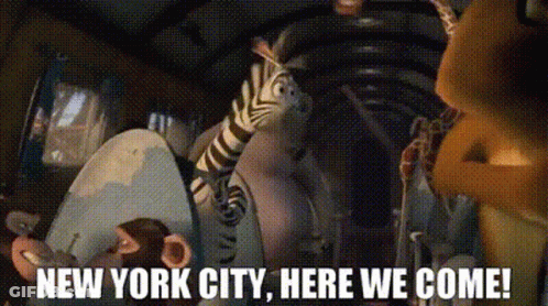 Animals In Car Saying New York City GIF