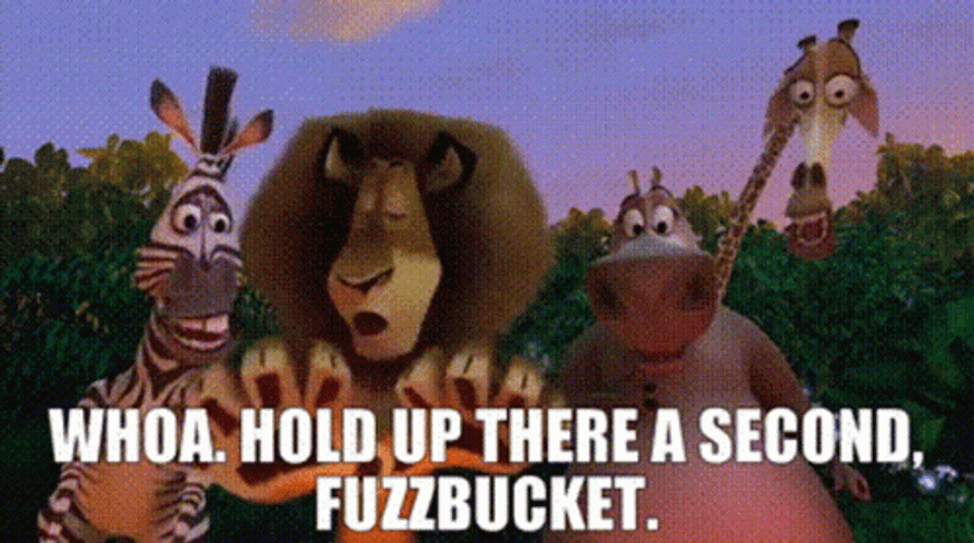 Animals Madagascar Hold Up Wait A Minute GIF