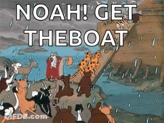 Animals On Boat GIF
