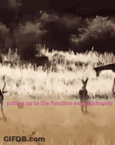 Animals Pulling Up Swagaliciously GIF