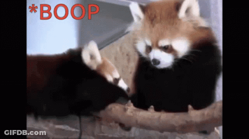 Animals With Boop In Red GIF