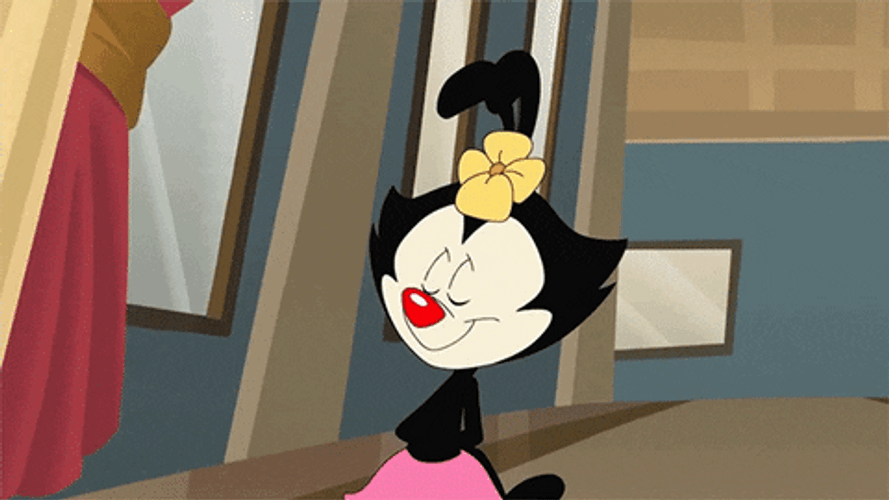Animaniacs 2 Minutes On The Clock GIF
