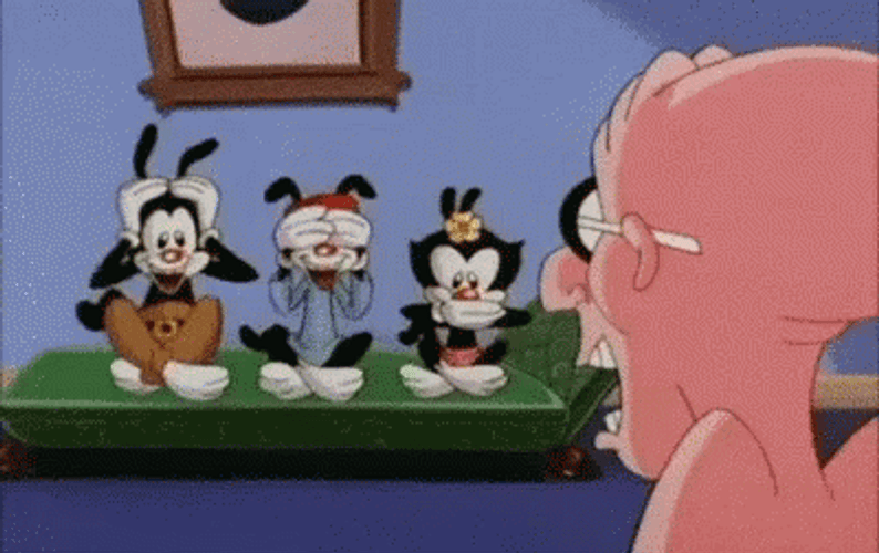 Animaniacs Characters Covering GIF