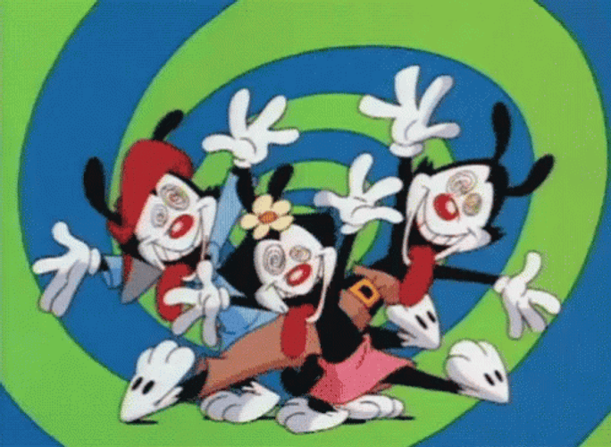 Animaniacs Characters Hallucinated GIF