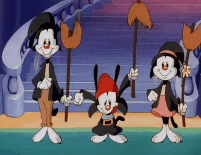 Animaniacs Characters Magician Suit GIF