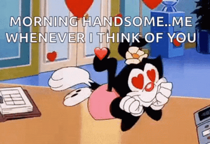 Animaniacs Good Morning Handsome GIF