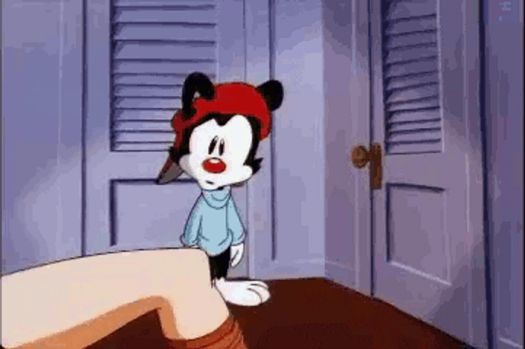 Animaniacs Looking At Woman's Legs GIF