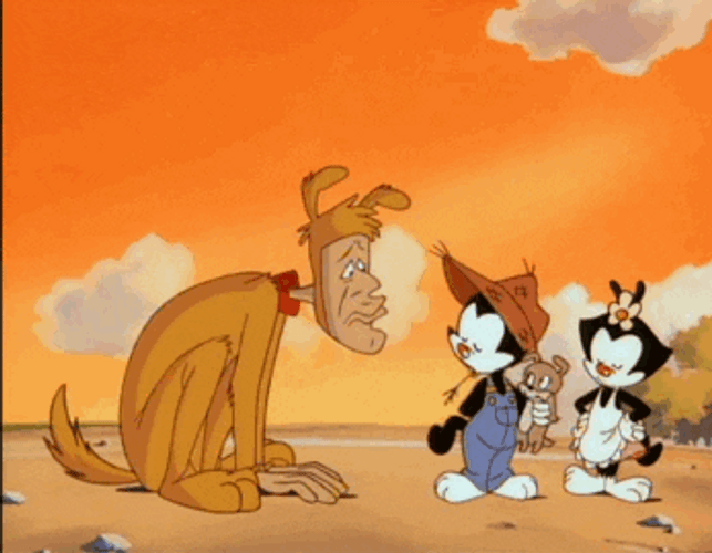 Animaniacs Wakko Warner Hammering GIF