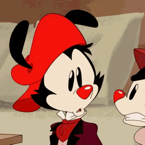 Animaniacs Wako Warner Winking GIF