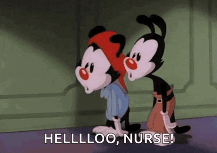 Animaniacs Yakko And Wakko GIF