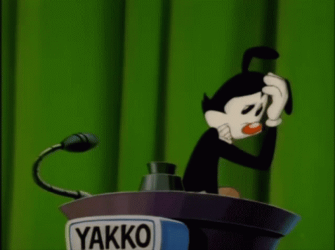 Animaniacs Yakko Confused GIF