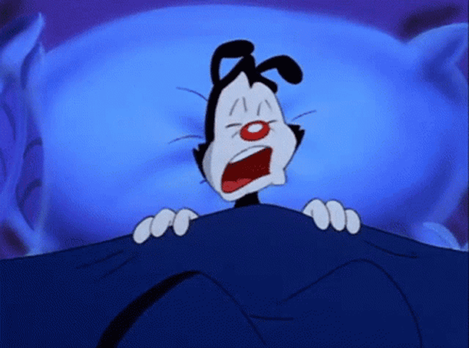 Animaniacs Yakko Sleeping GIF