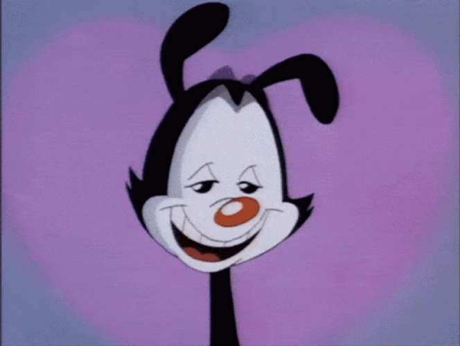 Animaniacs Yakko Warner Drunk GIF