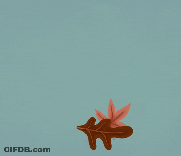 Animated 2 Fall Leaf Floating Around GIF