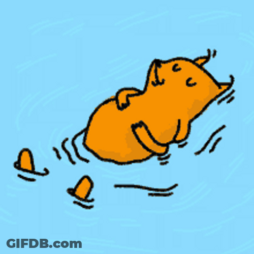 Animated Animal Sleeping In Water GIF