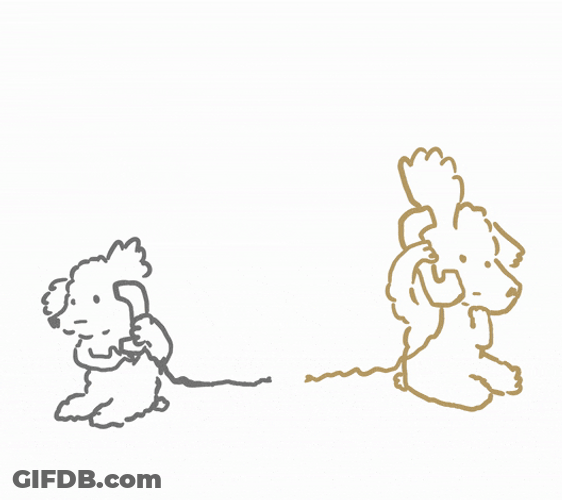Animated Animals Delay Reception GIF