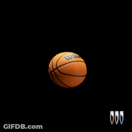 Animated Basketball Nba Wilson Ball GIF