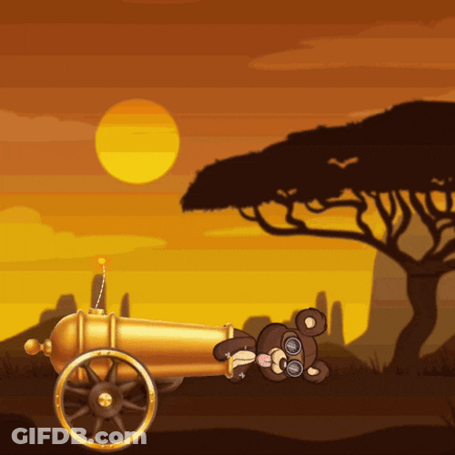 Animated Bear Cannonball GIF