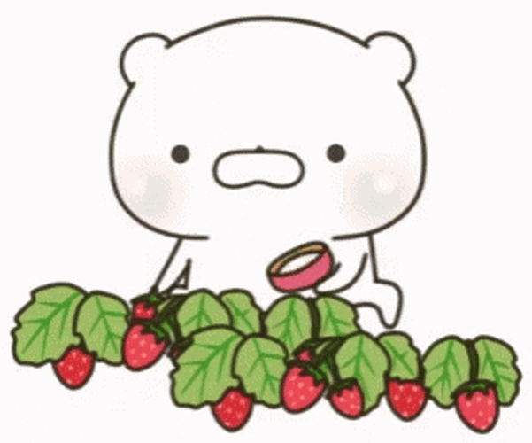 Animated Bear Eating Strawberry GIF
