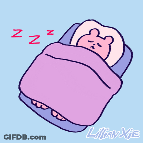 Animated Bear Having A Good Night Sleep GIF