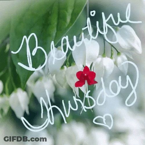 Animated Beautiful Happy Thursday Greeting Peaceful GIF