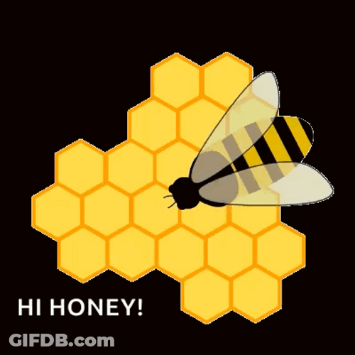 Animated Bee On Honeycomb Hi Honey GIF