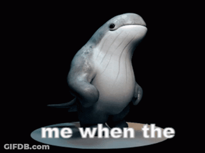 Animated Beluga Walking GIF